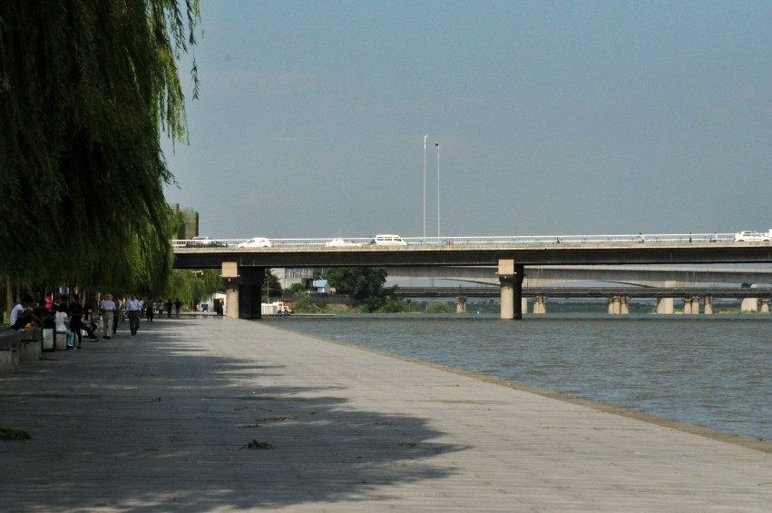 DSC_0072_conew1.jpg