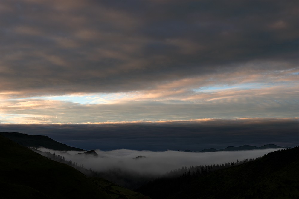 _DSC2635.jpg
