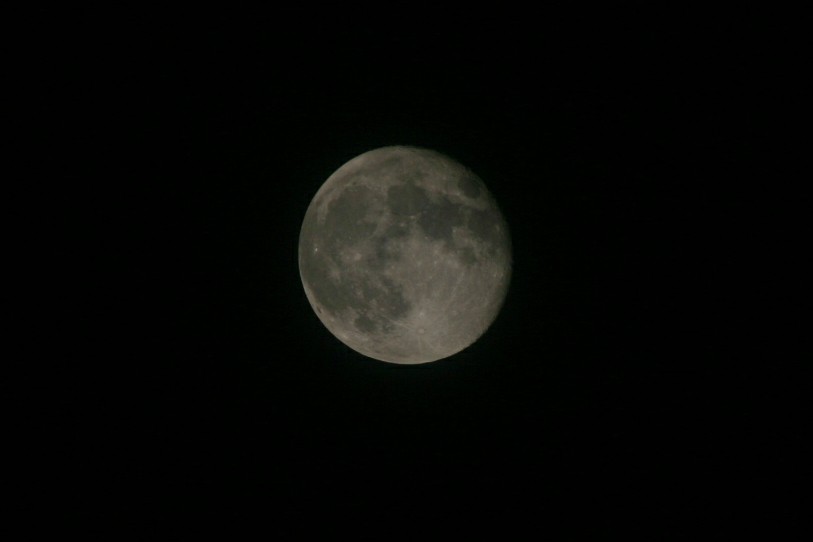 IMG_8954_副本.jpg