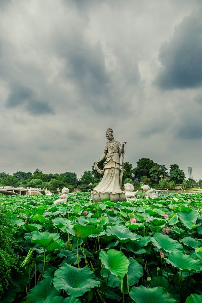玄武湖08.jpg
