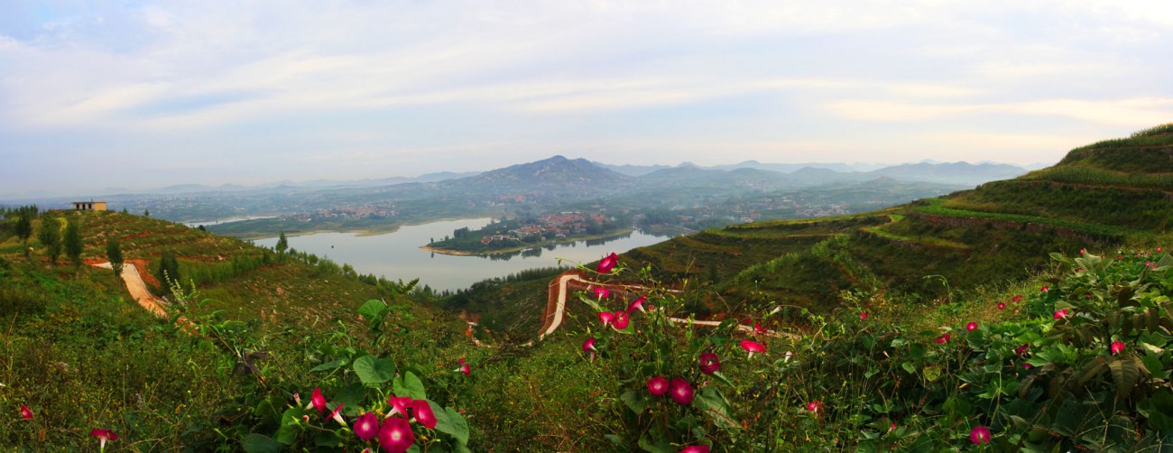 植物园全景图30.jpg
