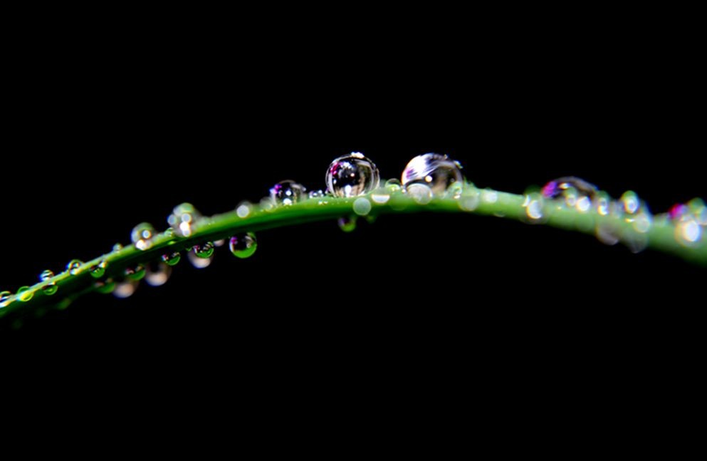 DSC_0289.jpg