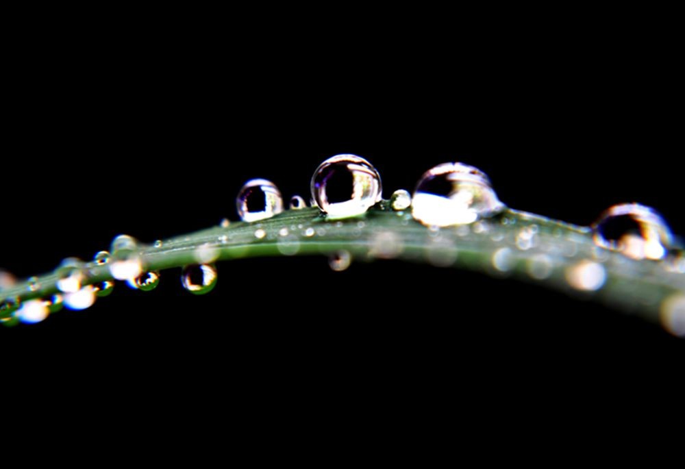 DSC_0291.jpg