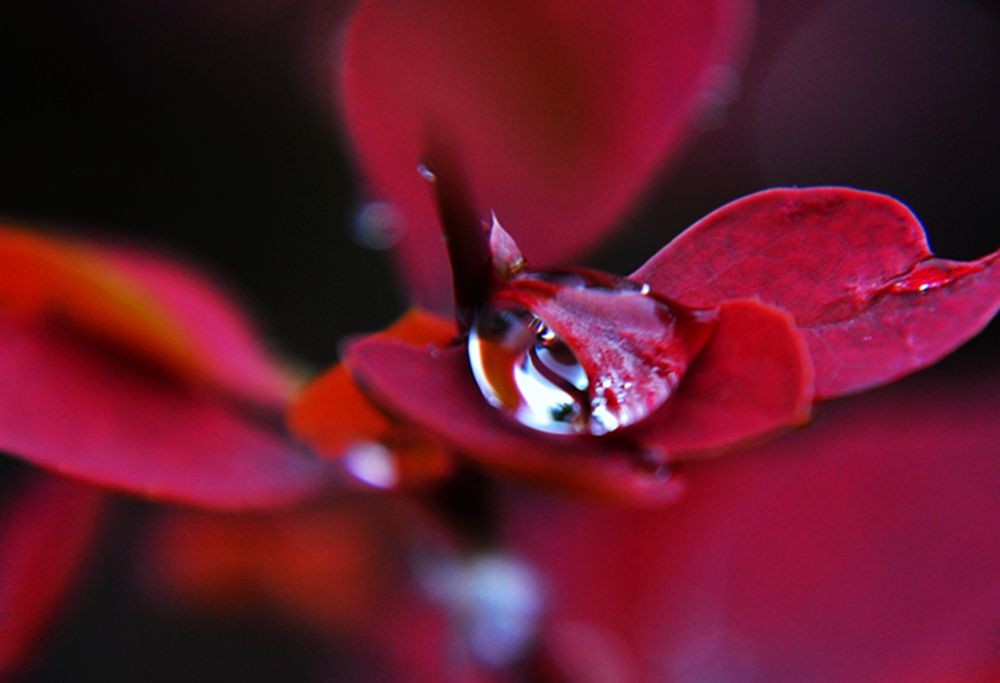 DSC_0363.jpg