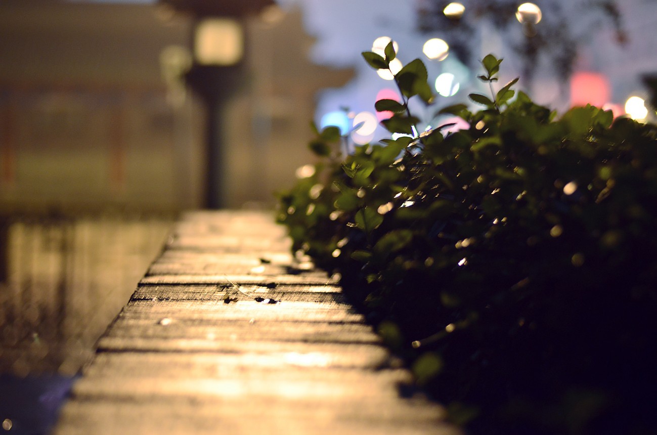 雨景