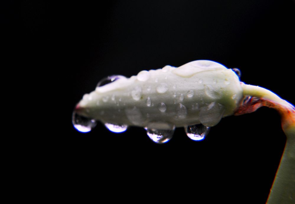 DSC_0396.jpg