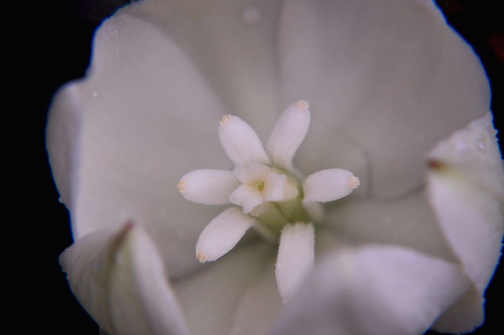 DSC_0457.jpg