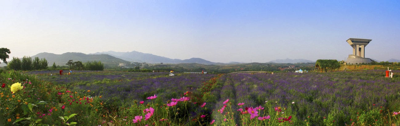 钻石公园全景图13副本.jpg