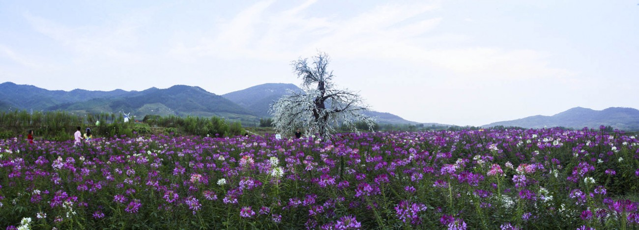 钻石公园全景图27副本.jpg
