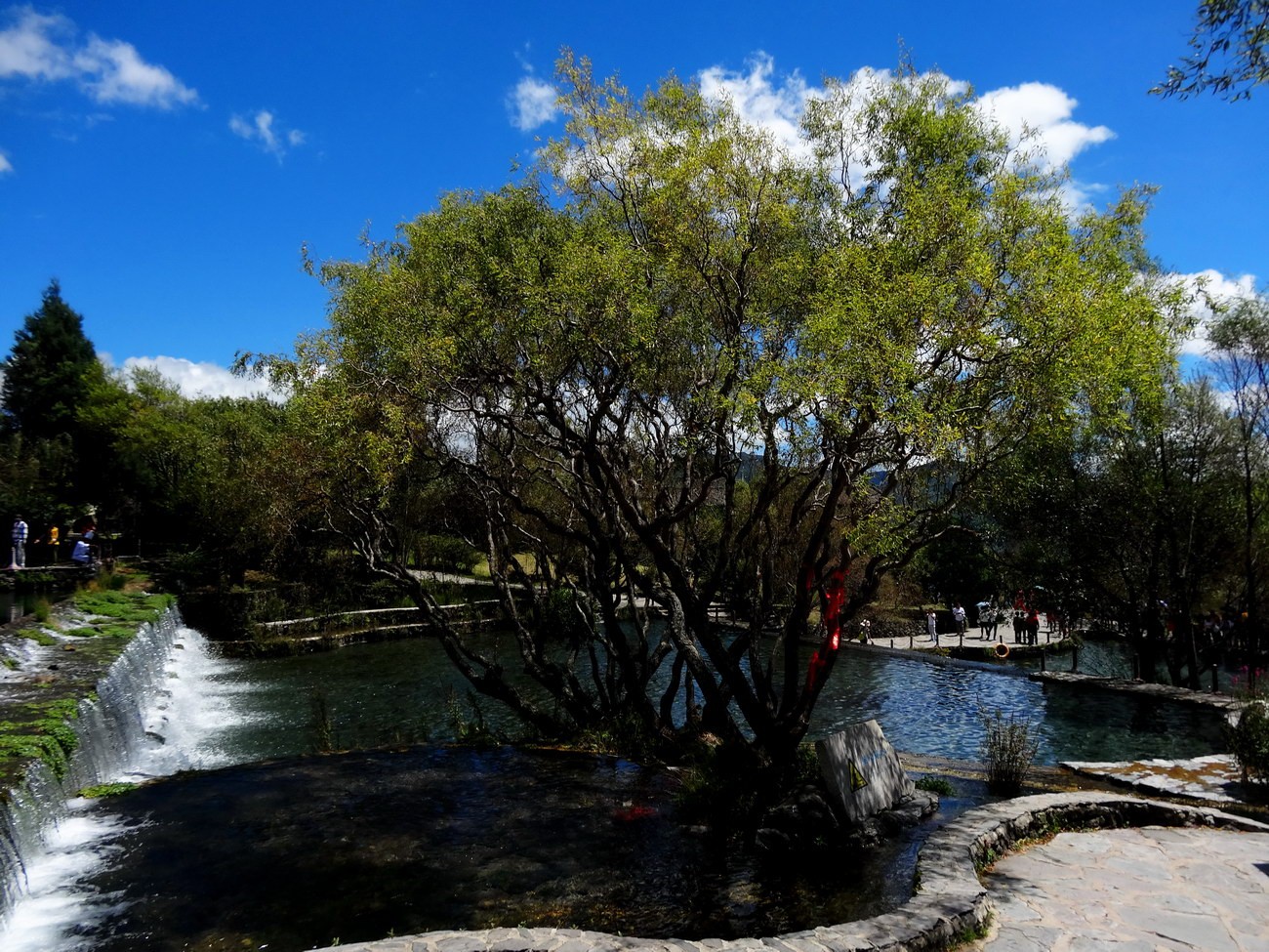 DSC04034A_调整大小.JPG