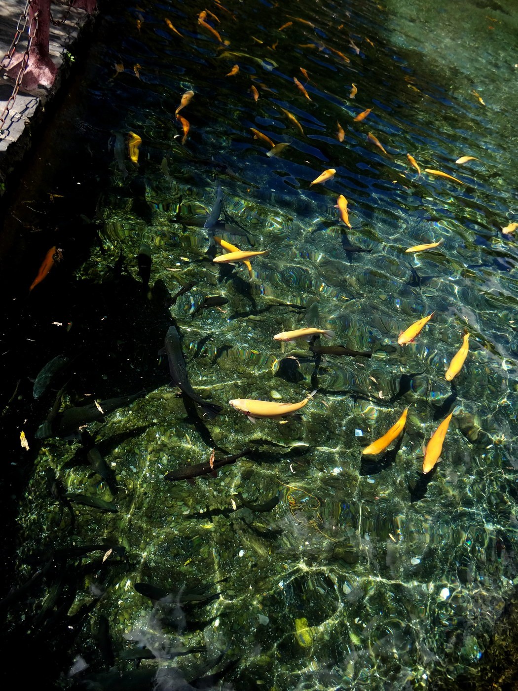 DSC03908A_调整大小.JPG