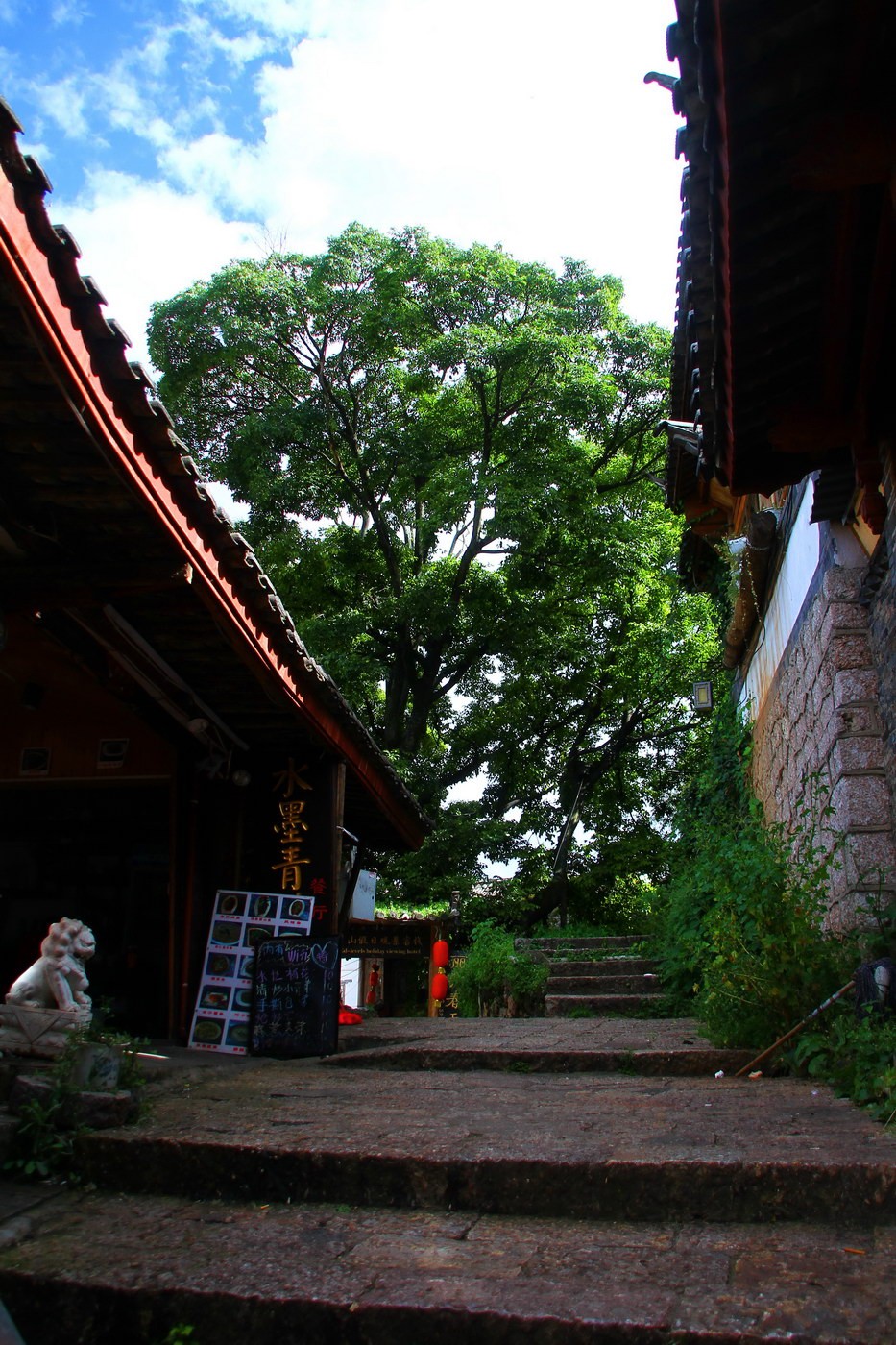 IMG_1874A_调整大小.JPG
