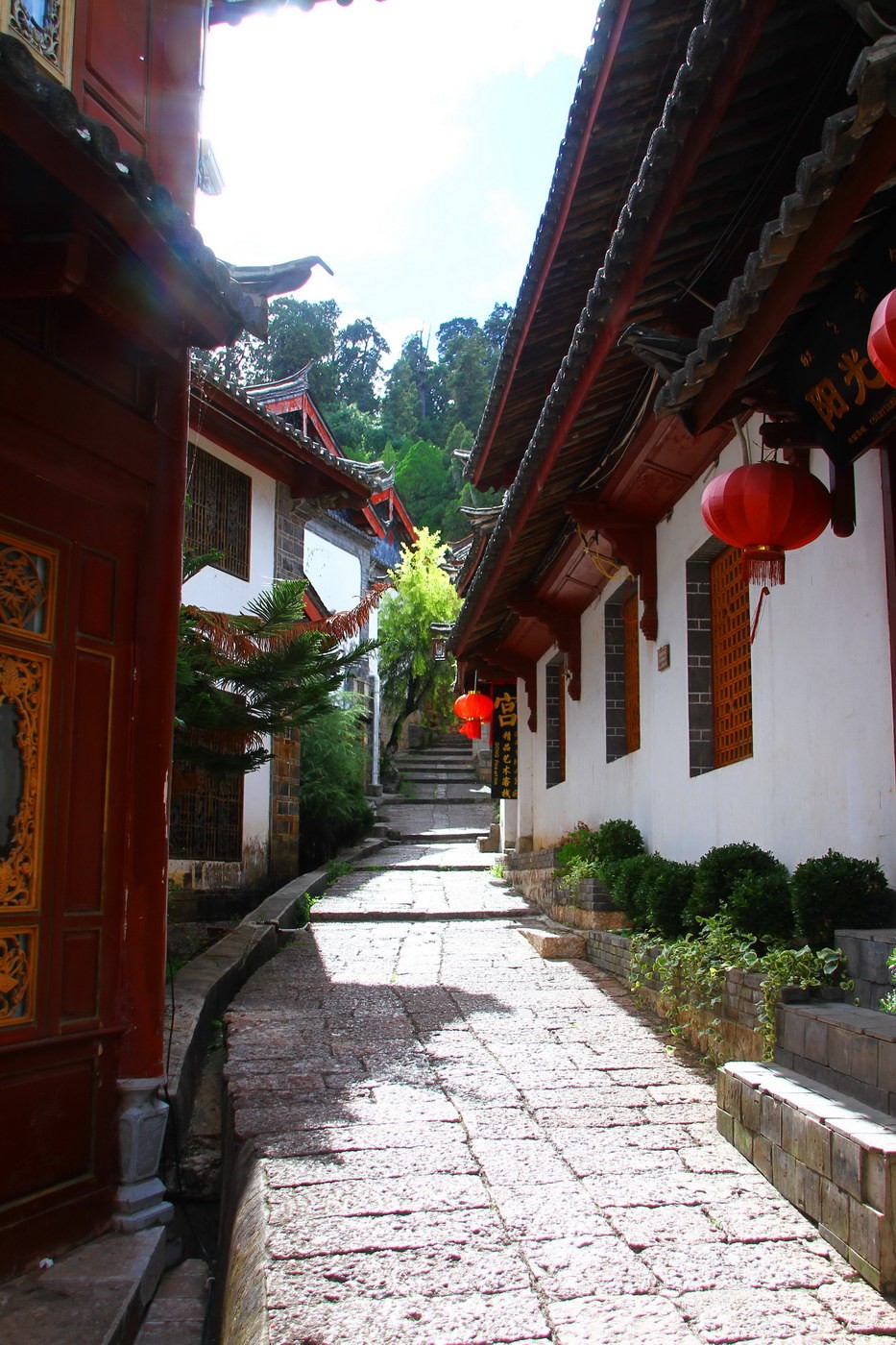 IMG_1965A_调整大小.JPG