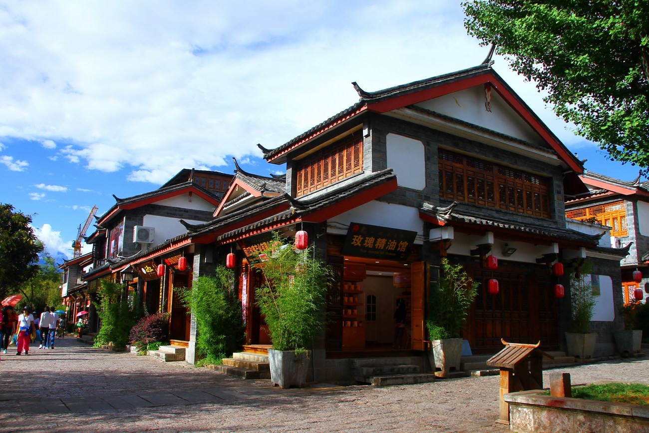 IMG_2008a_调整大小.JPG