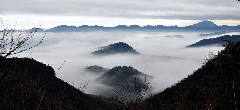 12.2.4首驴鹅岭 205_副本.jpg
