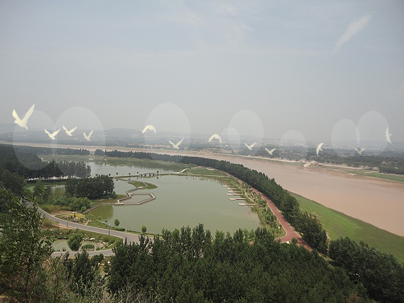 DSC08926_副本.jpg