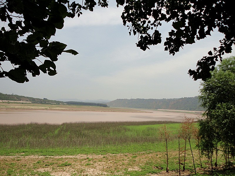 DSC08940_副本.jpg
