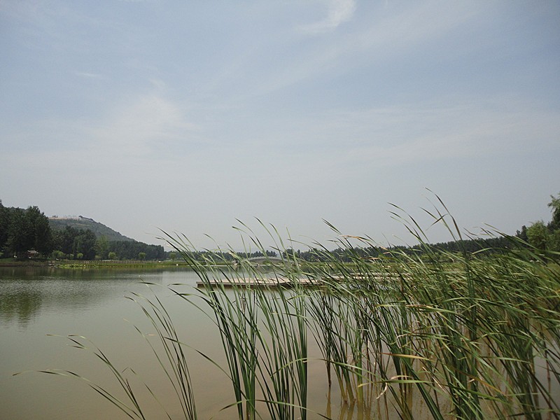 DSC08945_副本.jpg