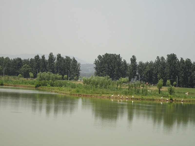 DSC08965_副本.jpg