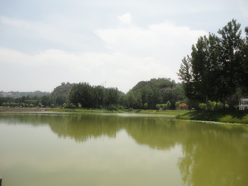 DSC08971_副本.jpg