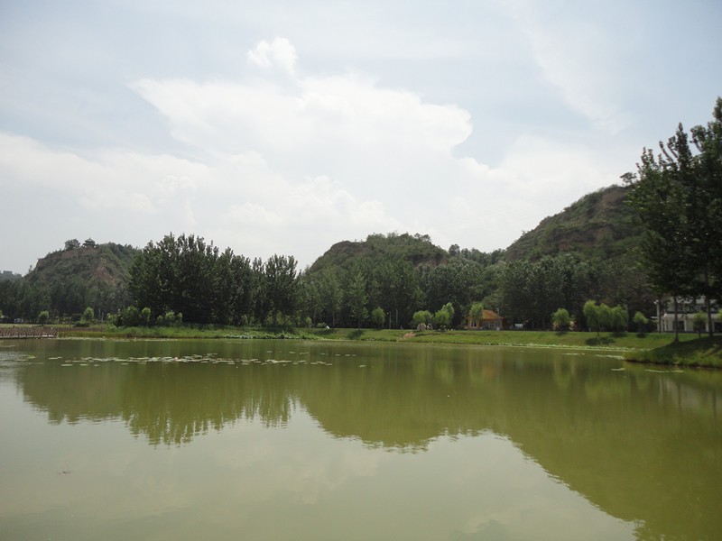 DSC08975_副本.jpg