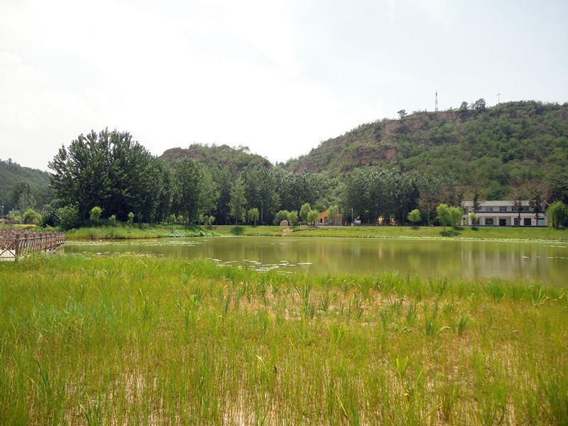 DSC08980_副本.jpg