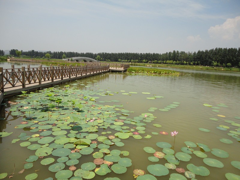 DSC08981_副本.jpg