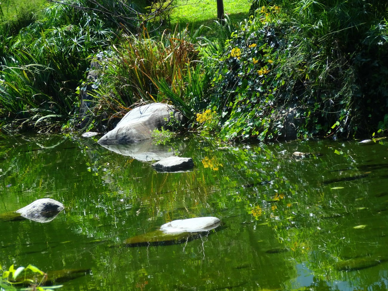 DSC04457A_调整大小.JPG