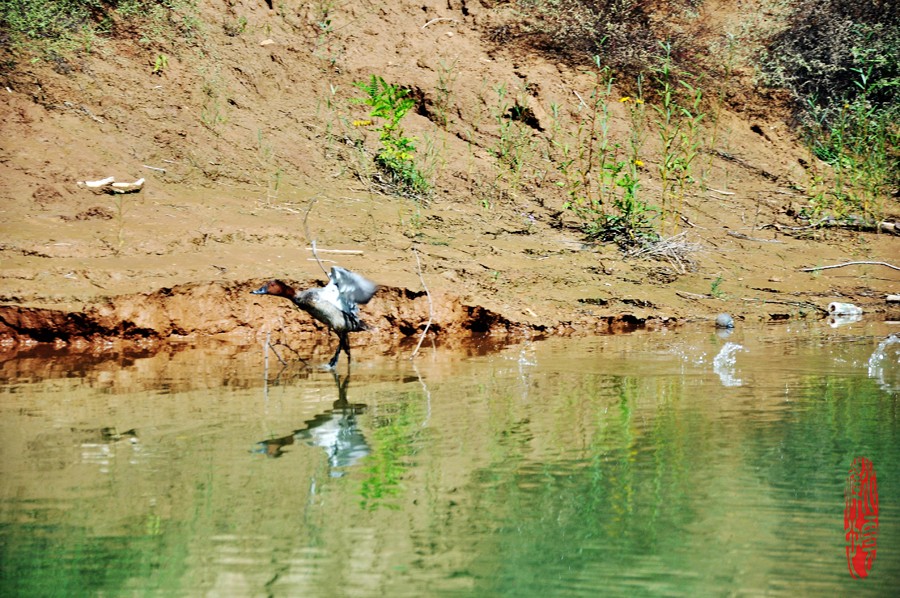 DSC_2914.JPG
