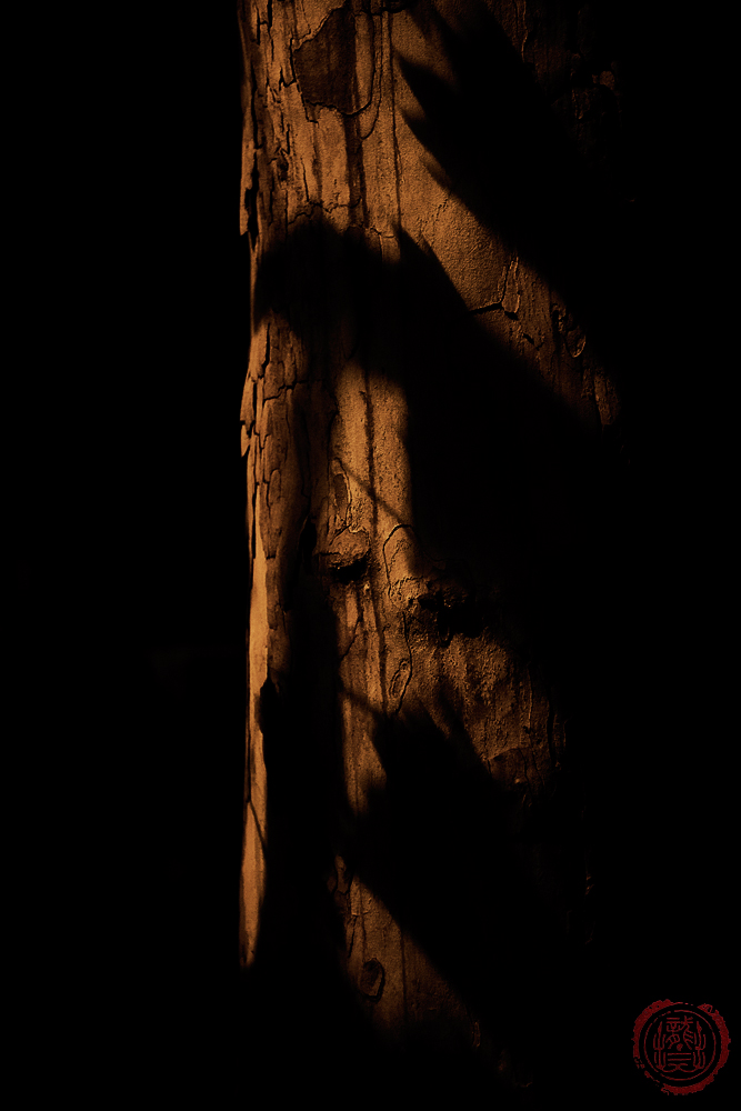DSC_0212副本.jpg