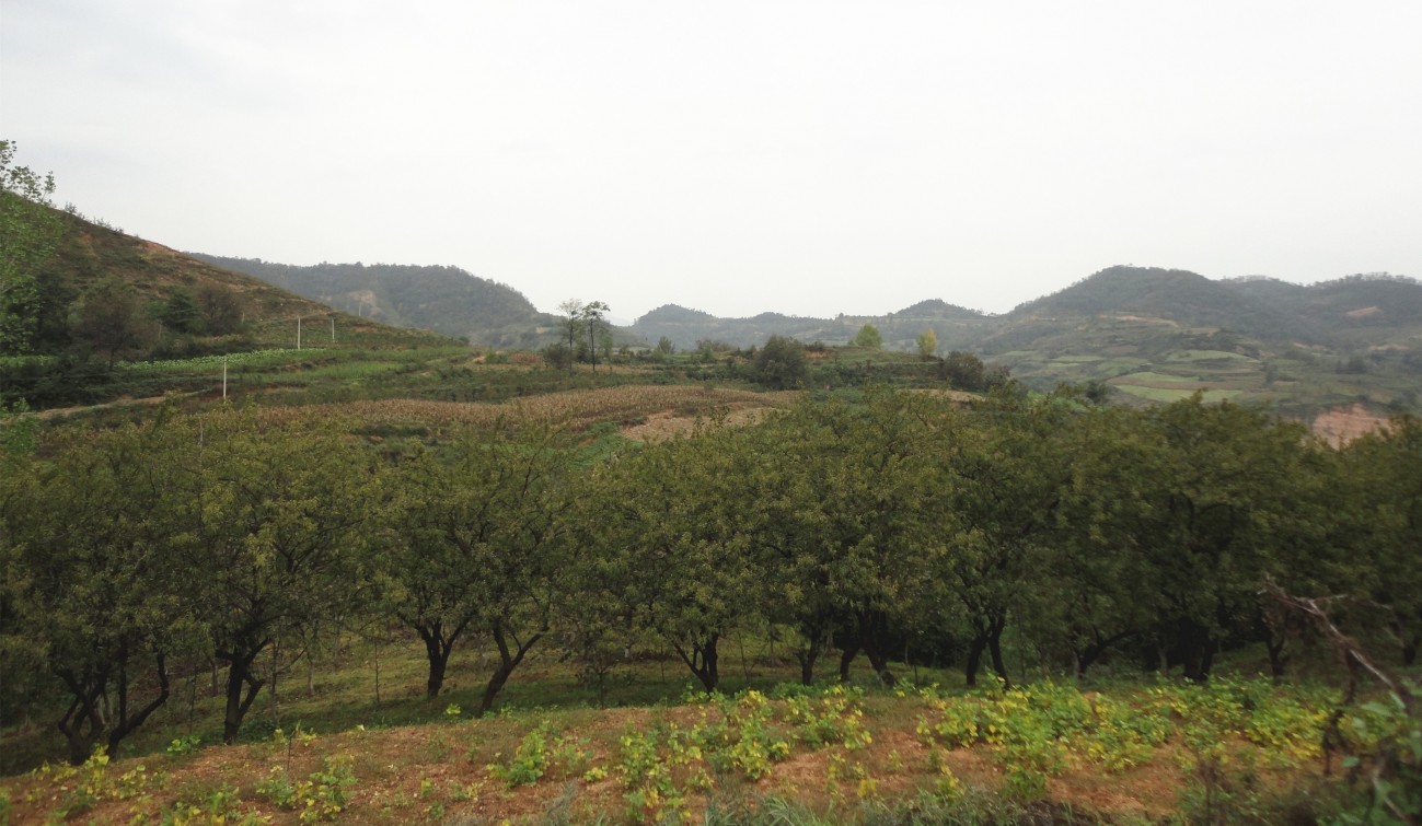 DSC09033_副本_副本.jpg