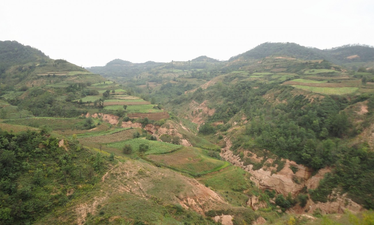DSC09045_副本_副本.jpg