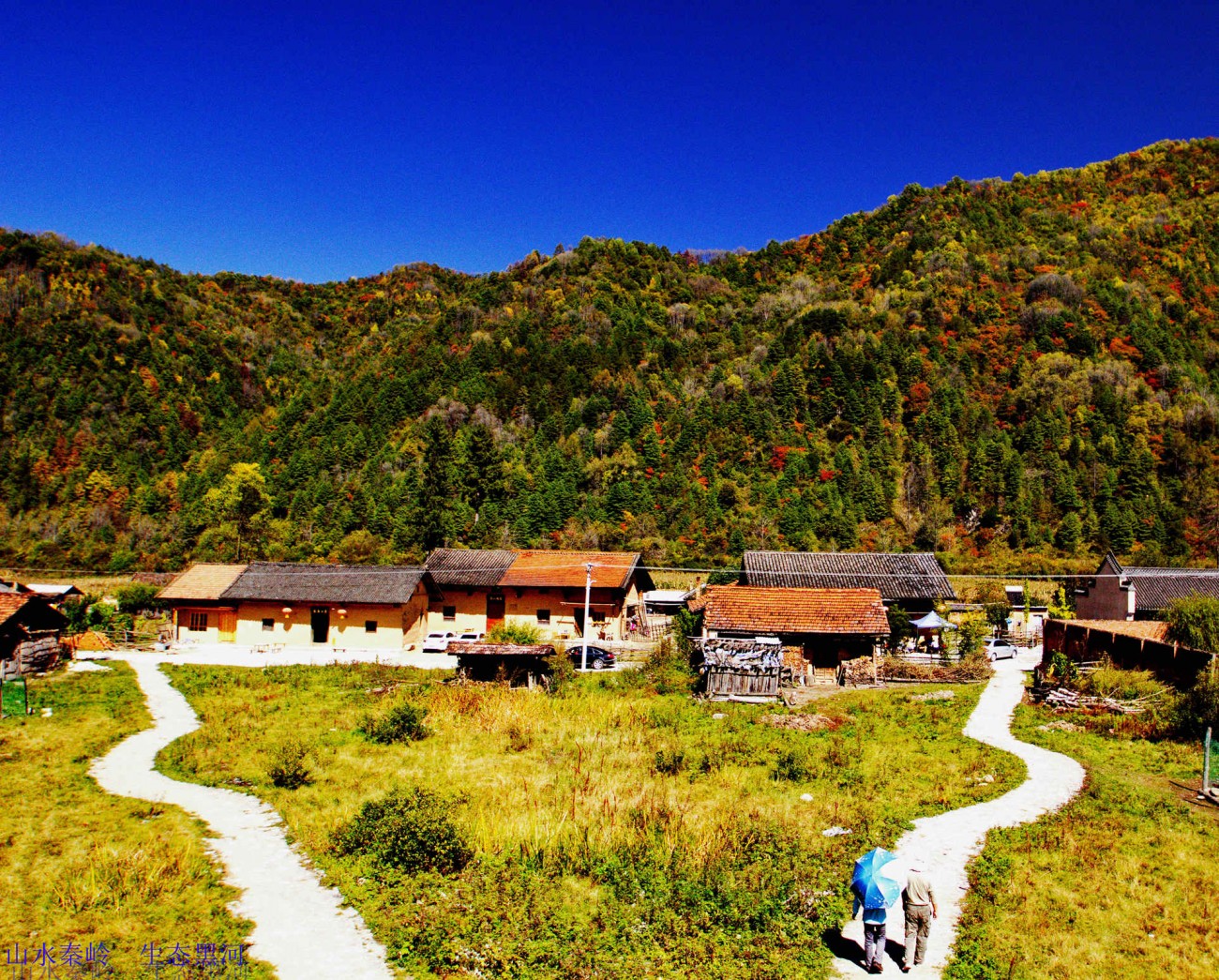 IMG_0236_副本_副本.jpg