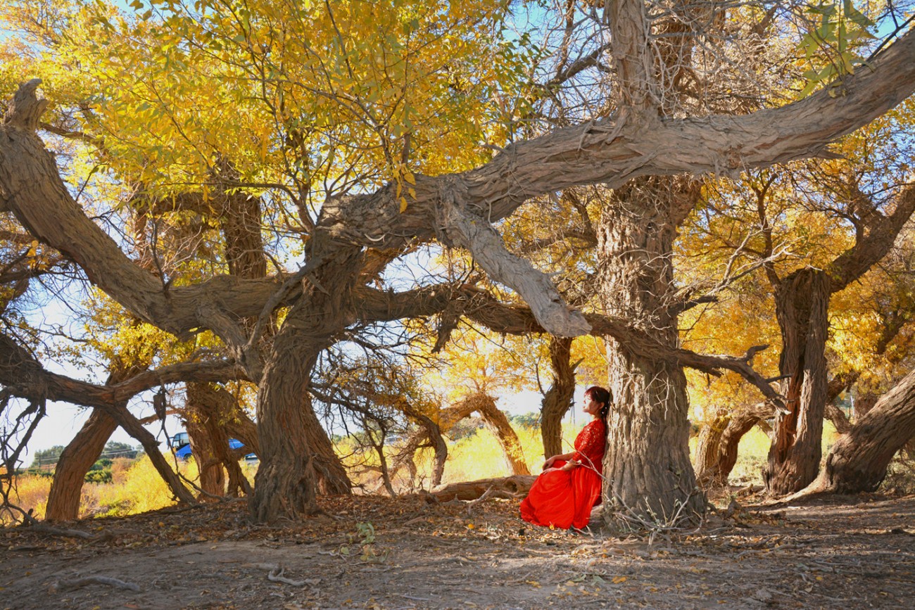 DSC_6690_edited_b.jpg