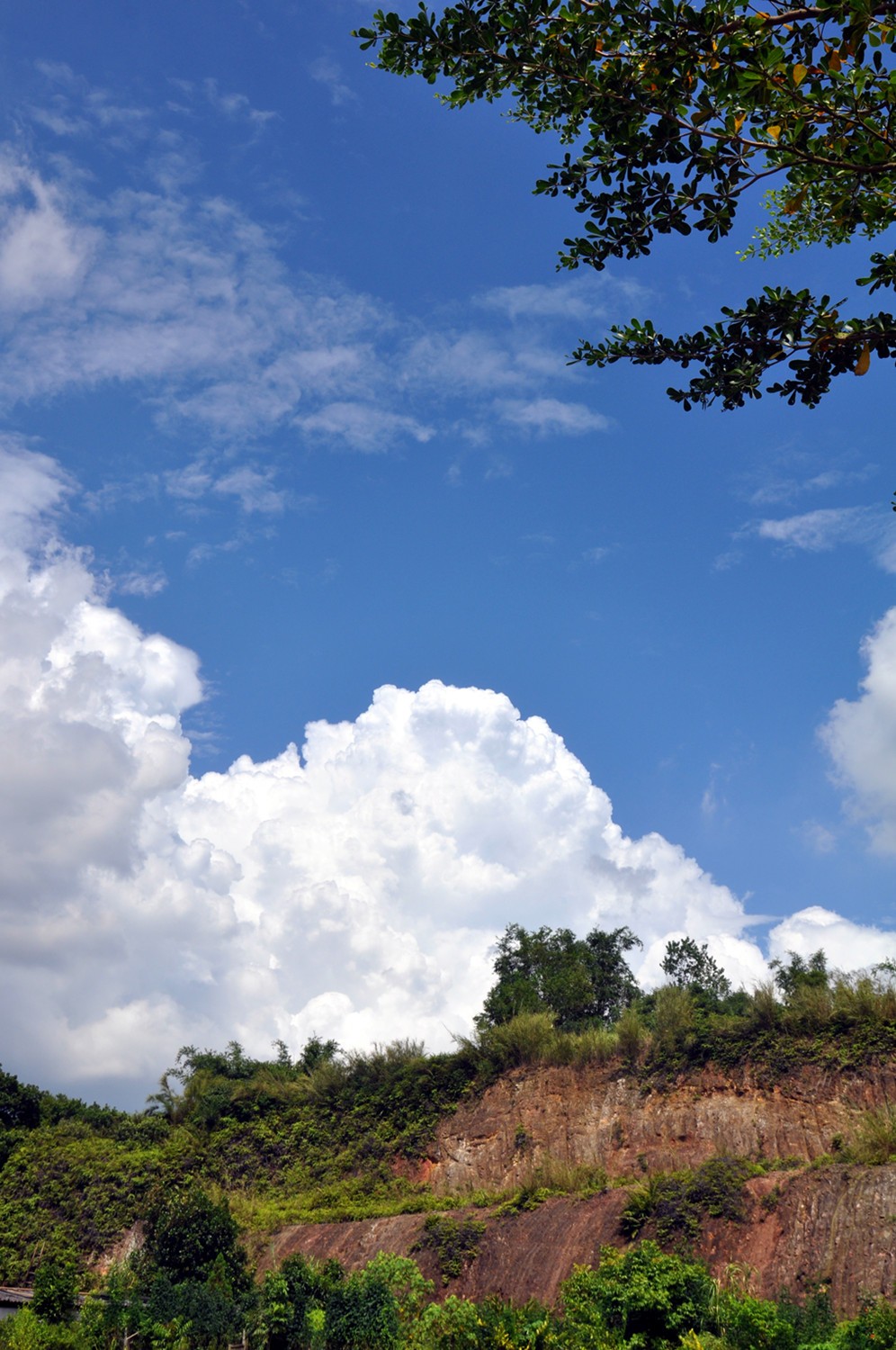 DSC_0676发.jpg