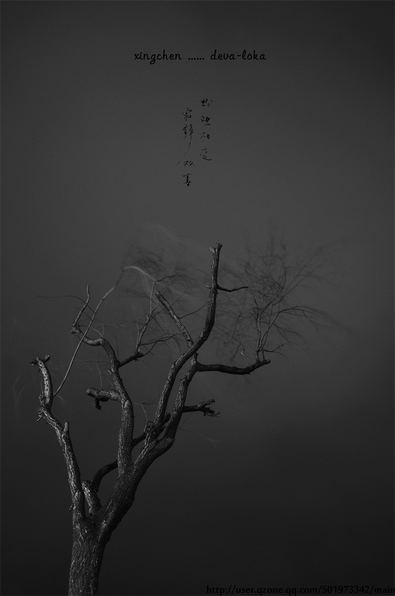 LNP_4720 副本.jpg