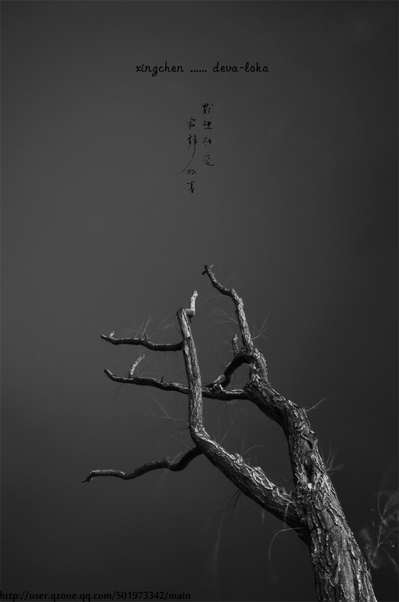 LNP_4721 副本.jpg
