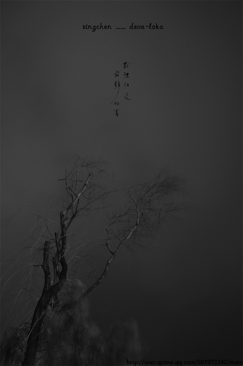 LNP_4722 副本.jpg