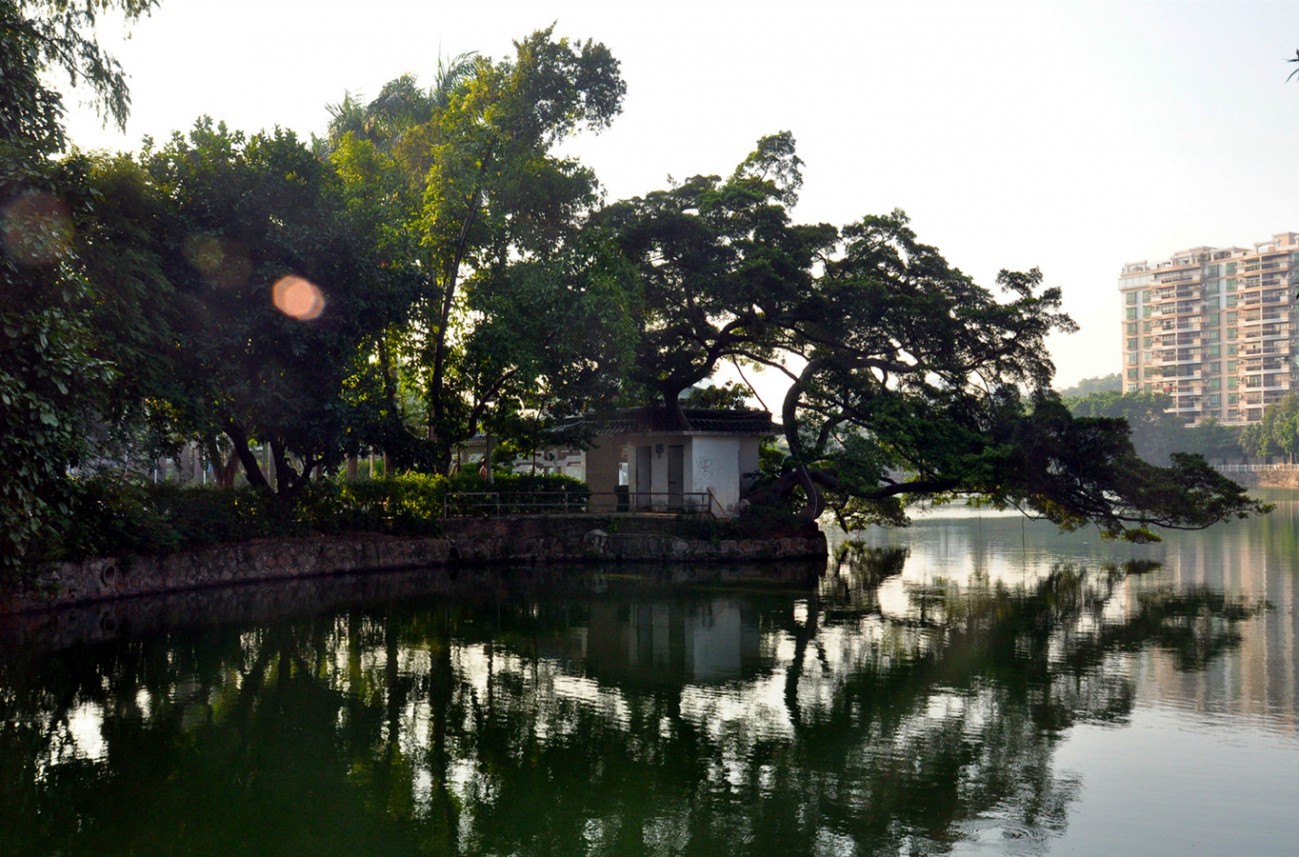 DSC_1390发_副本.jpg