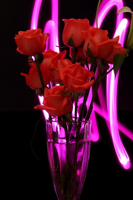 DPP_0057.JPG
