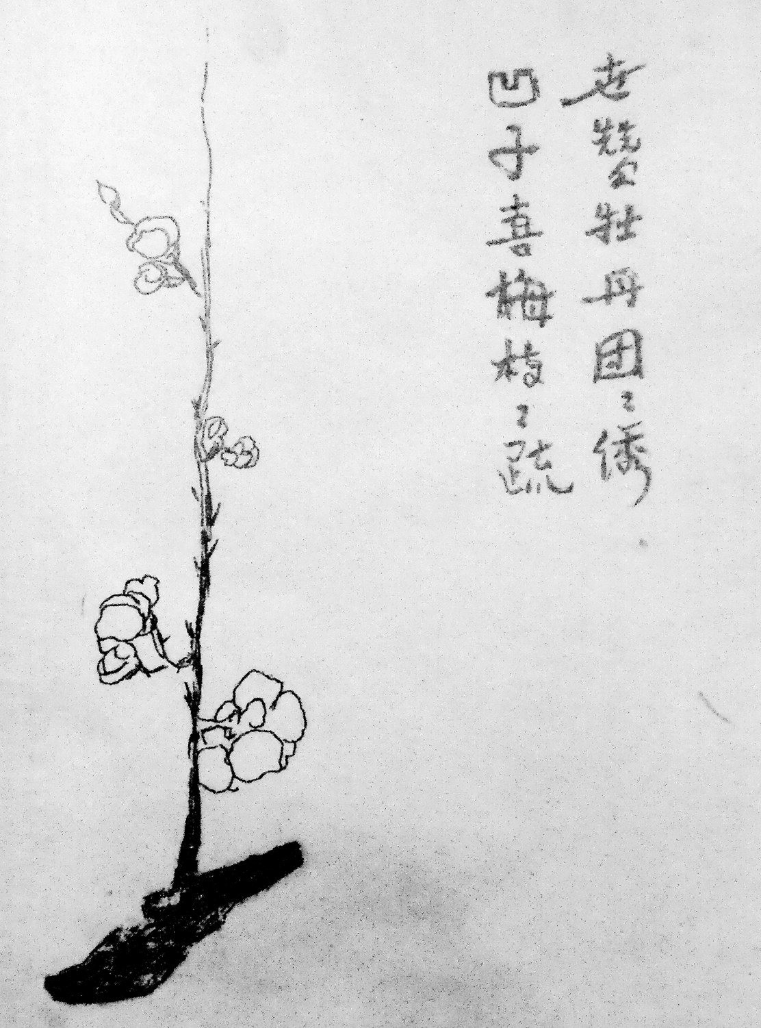 DSCN5312_副本.jpg