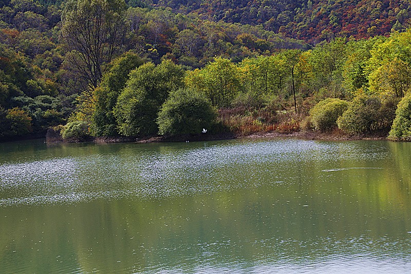 _MG_5469_副本.jpg