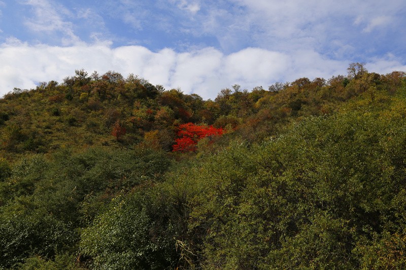 _MG_5507_副本.jpg