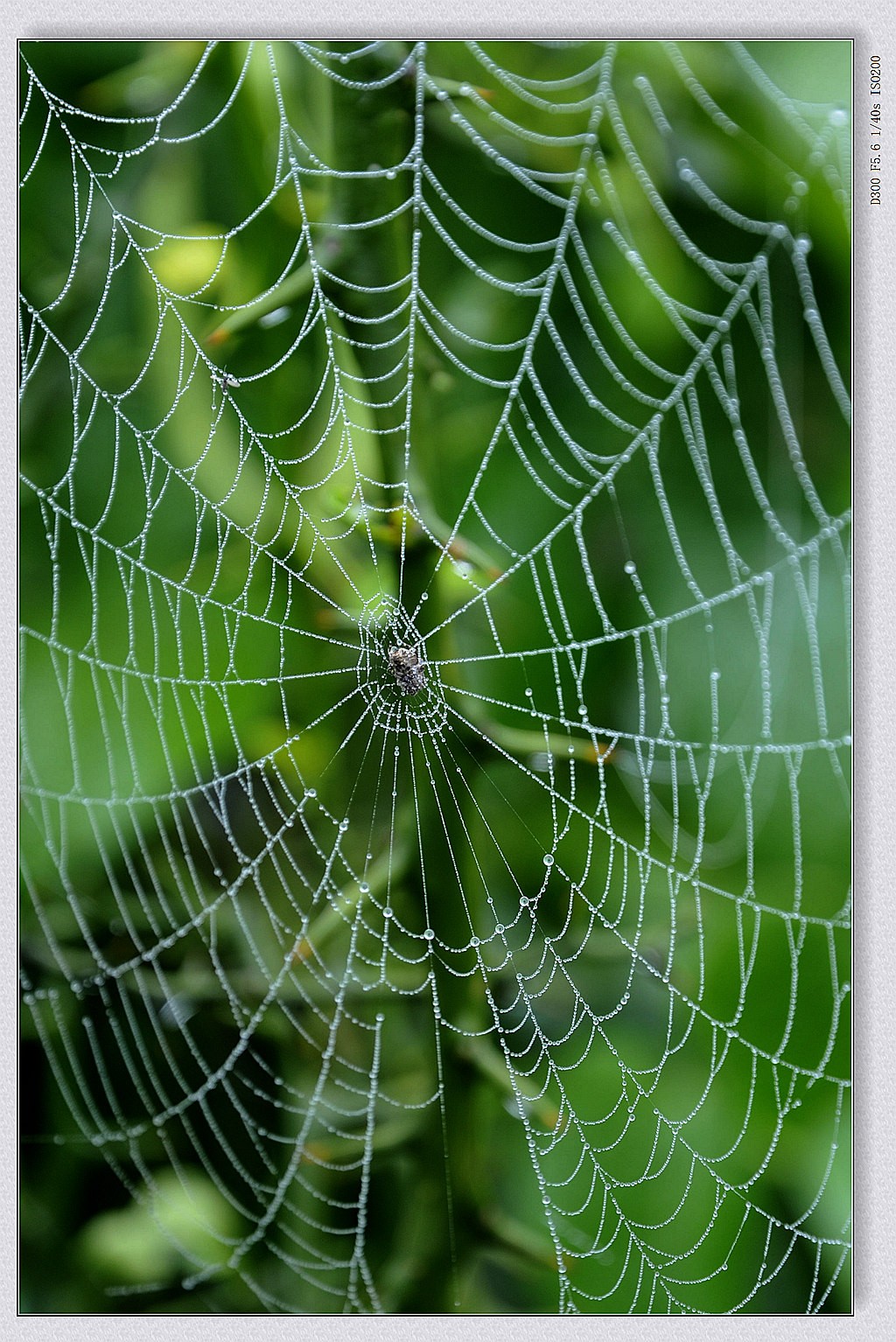 _DSC8478.jpg