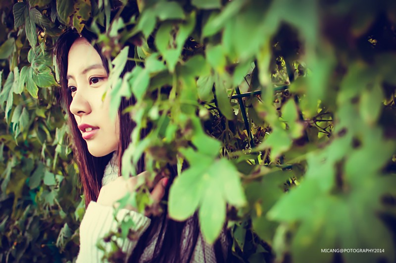 DSC_0145_副本.jpg