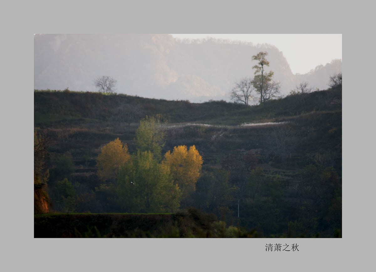 _DSC5205-编辑.jpg