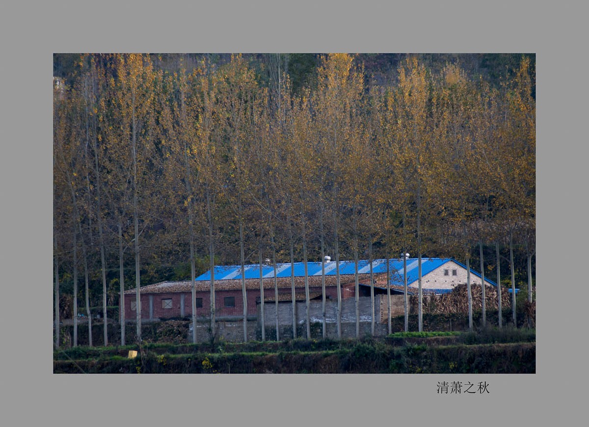 _DSC5214-编辑.jpg