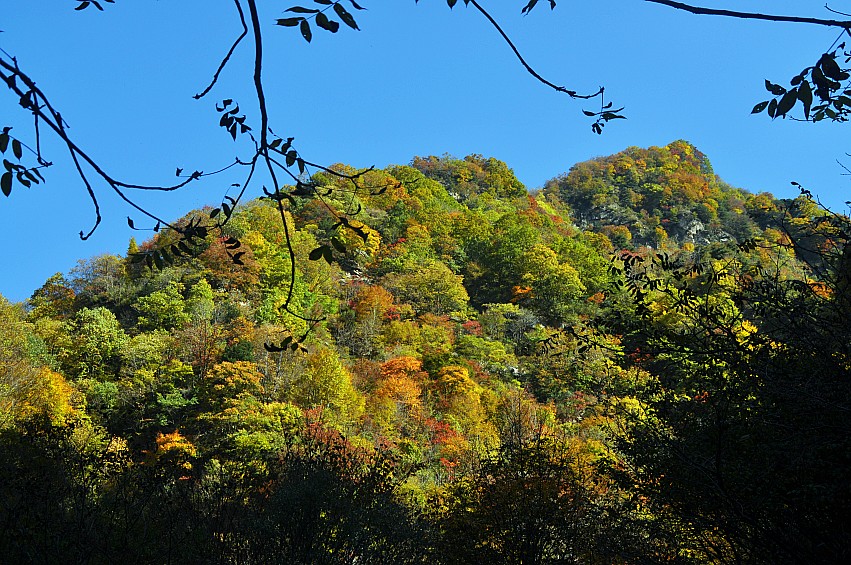 DSC_0074_conew1.jpg