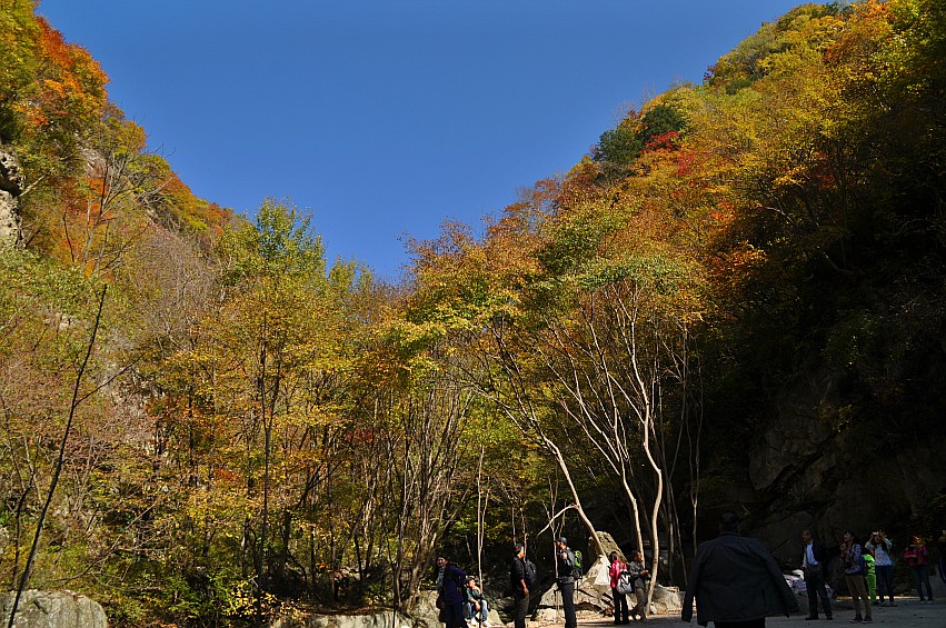 DSC_0157_conew1.jpg
