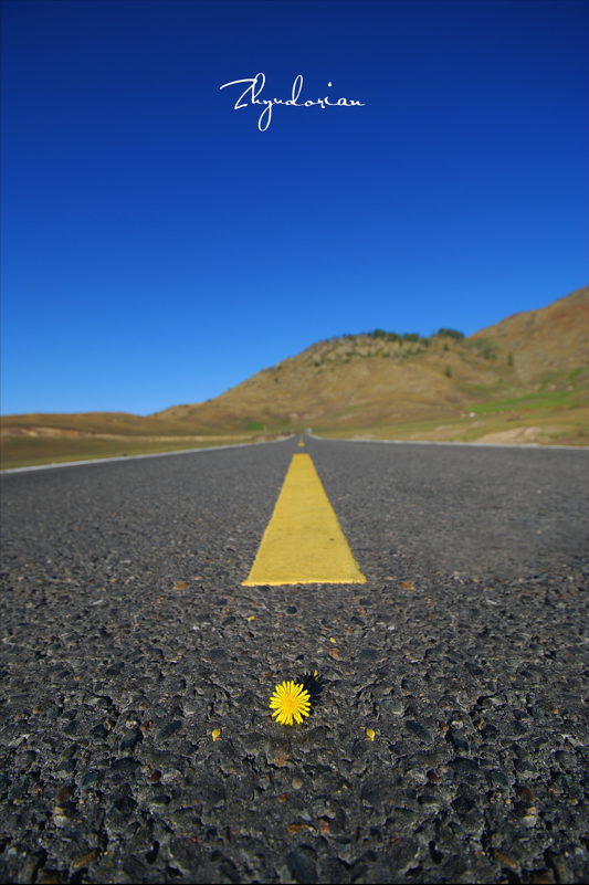 Snip20141028_2.png